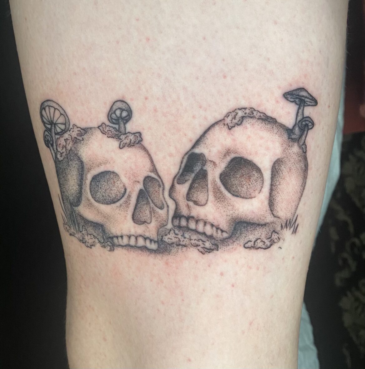 Two skulls done inn minimalist fine line style performed by Basic Urban Witch Tattoo and Tarot in Fort Collins Colorado.