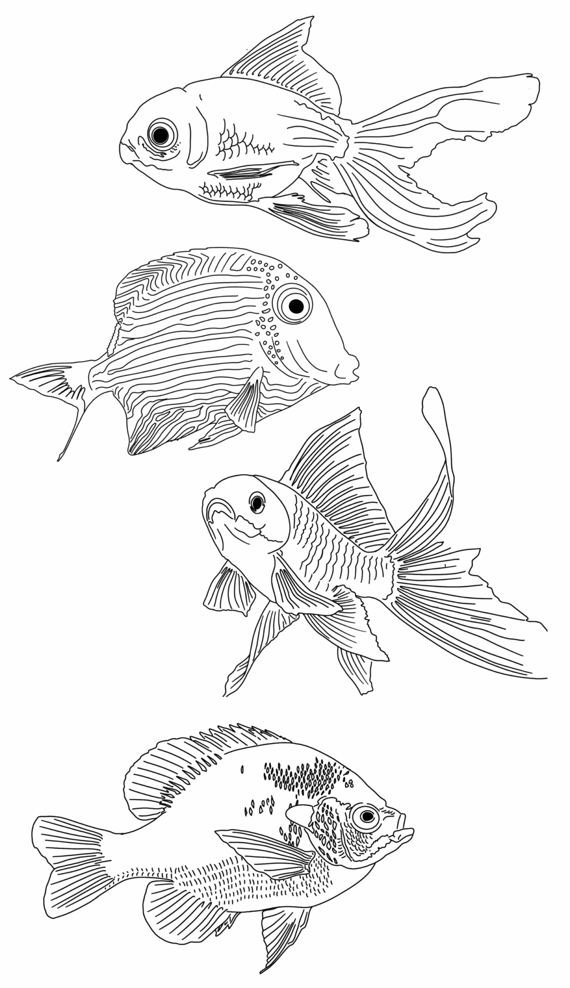 Fine line fish tattoos by Basic Urban Witch Tattoos in Fort Collins Colorado.