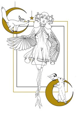 Fairy lady tattoo flash by Basic Urban Witch Tattoo, doing fine line tattoos in Fort Collins Colorado.