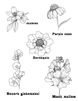 Fine line floral tattoo flash by Basic Urban Witch Tattoos in Fort Collins Colorado.